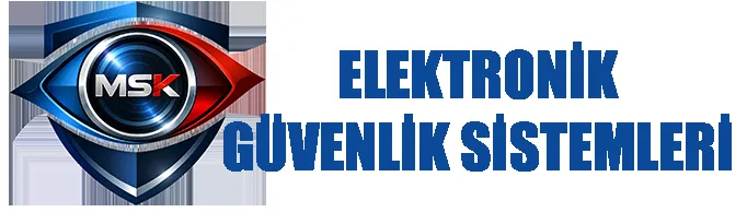 Örnek Blog 1